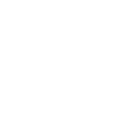 Insulated Vinyl Siding.